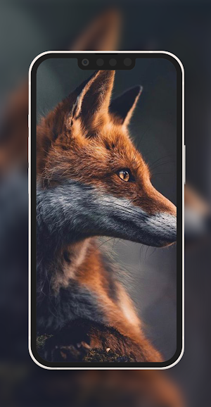 Animals Wallpaper Screenshot 2