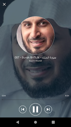 Saad El Ghamidi Quran Offline Screenshot 2