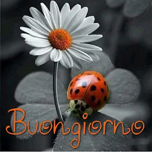Buongiorno Immagini Screenshot 2