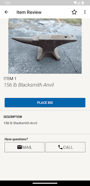 Kaser Auction Screenshot 2
