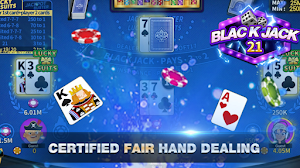 Blackjack Casino Card Game Screenshot 2