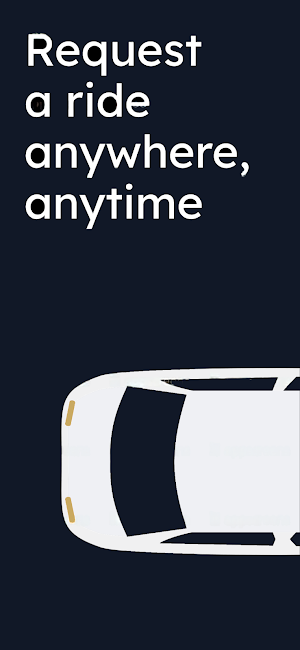 Eclipse Chauffeurs Screenshot 0