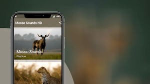 Moose Sounds Screenshot 1