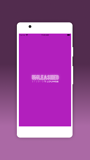 Unleashed Studio Inc Screenshot 0