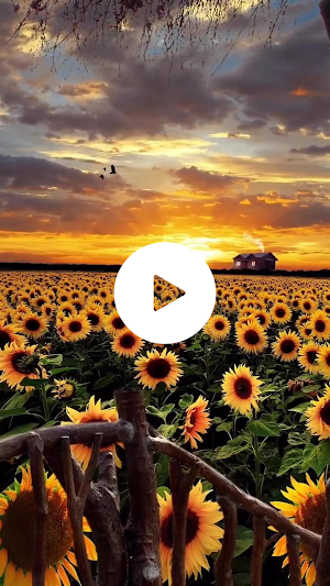 Nature Live Wallpaper HD Screenshot 0