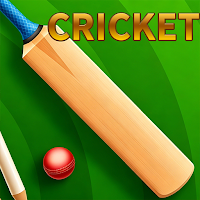 Cricket Bat Fury