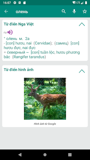Russian Vietnamese Dictionary Screenshot 1