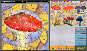 Magic Shape Puzzle 2 Screenshot 2