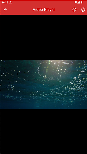 Url Video Player Screenshot 2