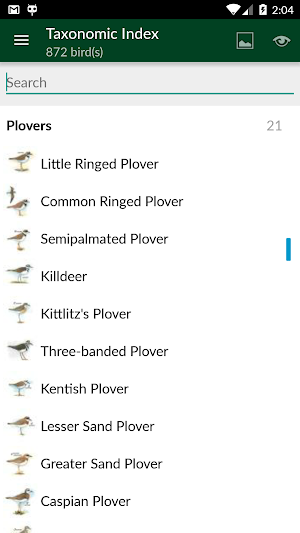 Birds of Europe & Palearctic Screenshot 0