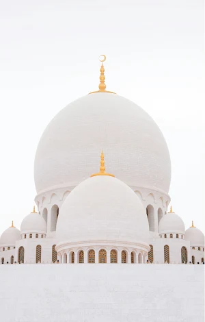 Mosque Wallpapers Screenshot 0