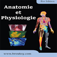 Anatomie et Physiologie