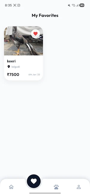 Cokopets Screenshot 2