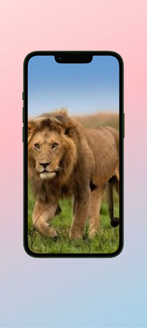 Singa WalL Screenshot 3