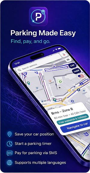 GlobalParking: Parking Zones Screenshot 0