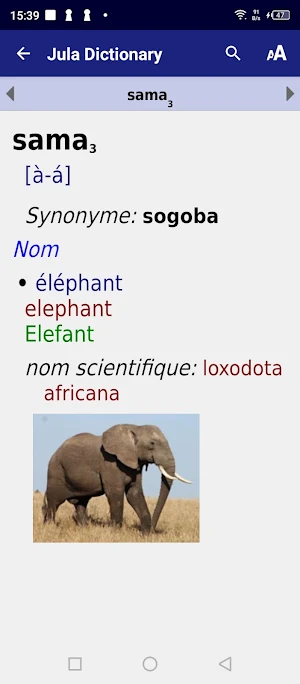 Jula dictionary Screenshot 1