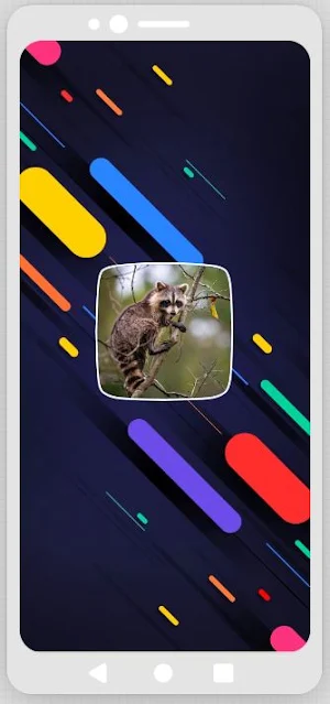 Raccoon Sounds Screenshot 0