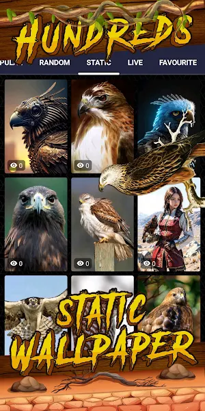 hawk wallpaper Screenshot 3