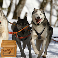 siberian husky wallpaper