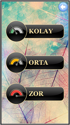 Four Operations Mathematics Screenshot 1