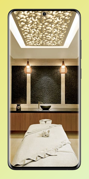 Aesthetic Ceiling Design Ideas Screenshot 3
