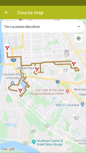 Louisiana Marathon Screenshot 2