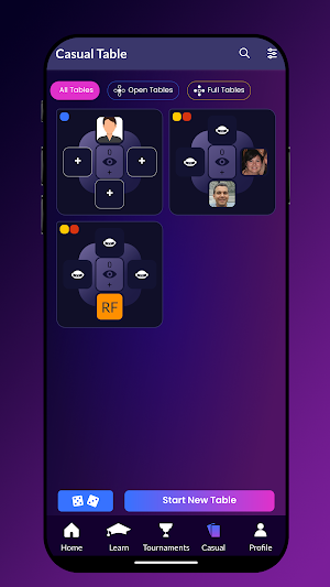 BridgeChamp Screenshot 2