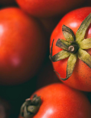Tomato Food Screenshot 0