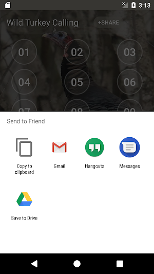 Wild Turkey Hen Calling Sounds Screenshot 3