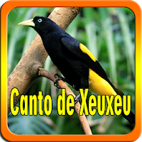 Canto de Xeuxeu