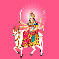 Kadva Patel Perfect Match