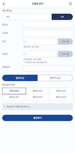 NETELPAY Screenshot 2