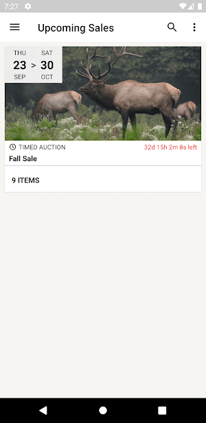 SFW Auctions Screenshot 0