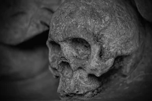 Skeleton wallpapers Screenshot 3