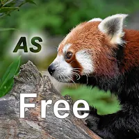 Nature Free - Asia