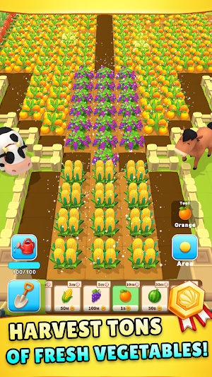 My Beautiful Farm Screenshot 2