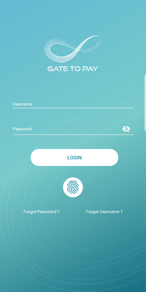 Gate To Pay Screenshot 1