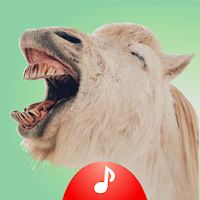Super Funny Ringtones