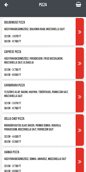 Nyírségi Pizzéria & Gyros Screenshot 1