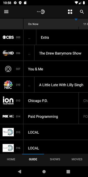 HolstonTV Screenshot 1