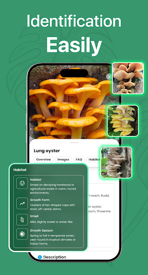 Plant Identifier - Scan & Care Screenshot 2