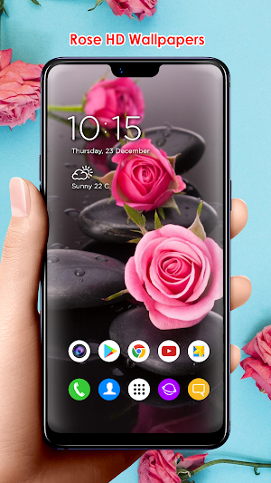 Rose HD Wallpapers Screenshot 3