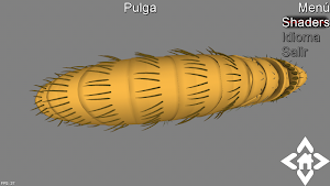 3D Flea Explorer Screenshot 3
