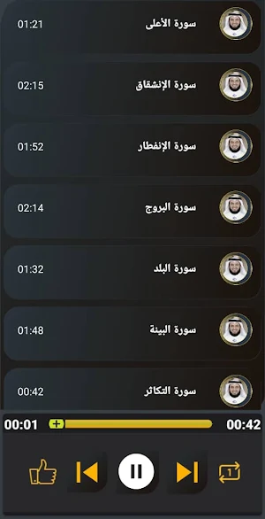 جزء عم مشاري العفاسي بدون نت Screenshot 1