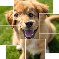 Tile Slide Match
