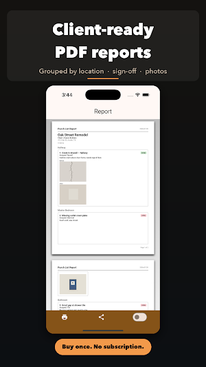 Punch List - Site Report Screenshot 2