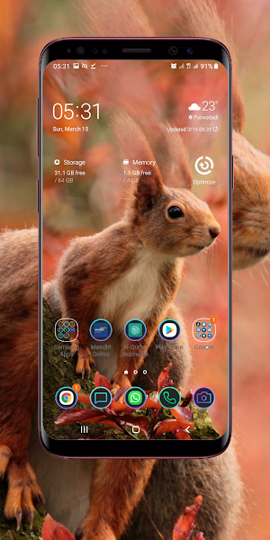 Squirrel Wallpaper Screenshot 0