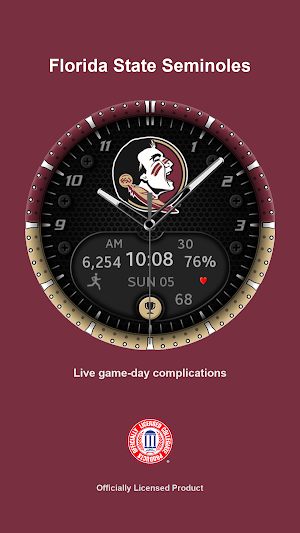Florida State Premium Screenshot 0