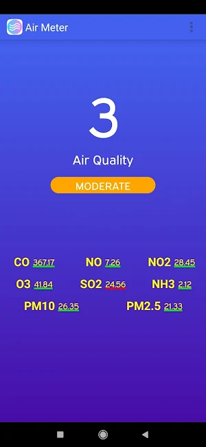 Air Meter Screenshot 2