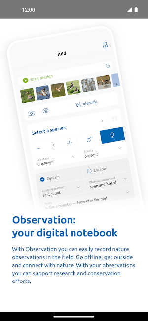 Observation Screenshot 0
